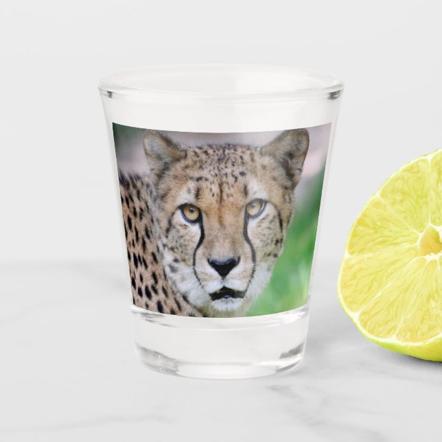 Cheetah 009 schnapsglas (Vorderseite)