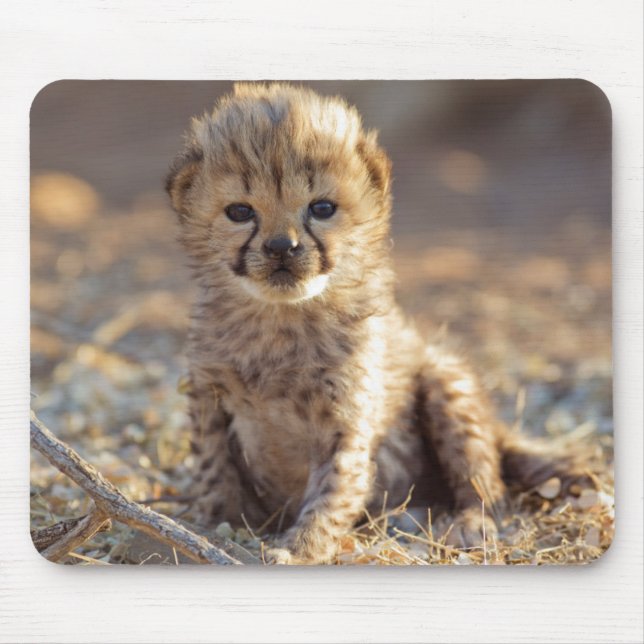 Cheetah 19 Tage alter männlicher Becher Mousepad (Vorne)