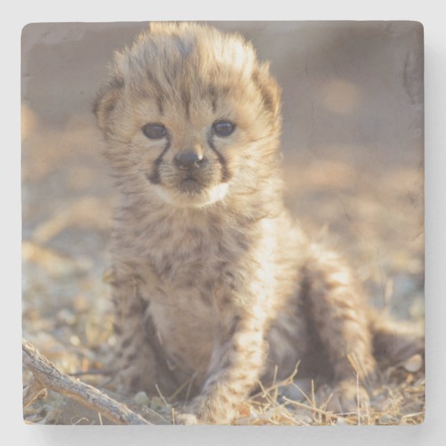 Cheetah 19 Tage alter männlicher Becher Steinuntersetzer (Vorderseite)
