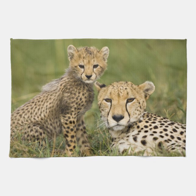 Cheetah, Acinonyx jubatus, mit Cub Handtuch (Horizontal)