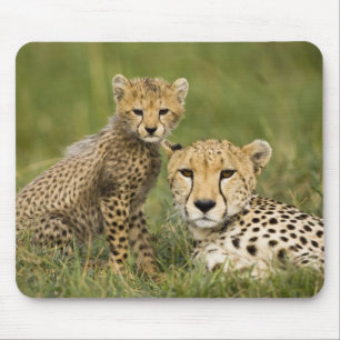 Cheetah, Acinonyx jubatus, mit Cub Mousepad
