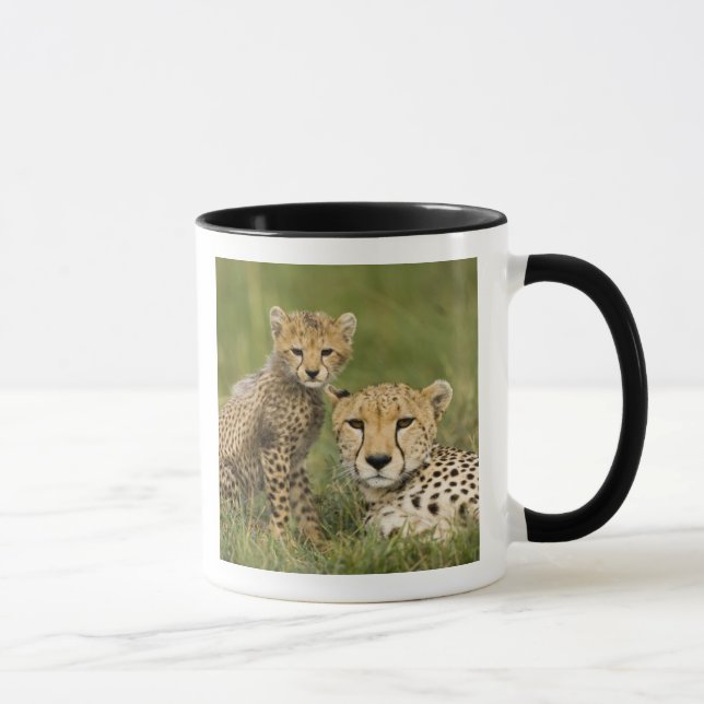 Cheetah, Acinonyx jubatus, mit Cub Tasse (Rechts)