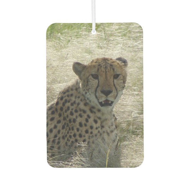 Cheetah Air Freshener Autolufterfrischer (Vorderseite)