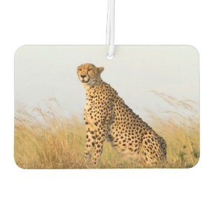 Cheetah Autolufterfrischer