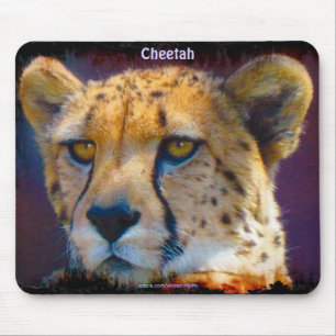Cheetah Big Cat Wildlife Mousepad