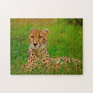 Cheetah Big Cats. Puzzle