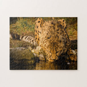 Cheetah Big Cats. Puzzle