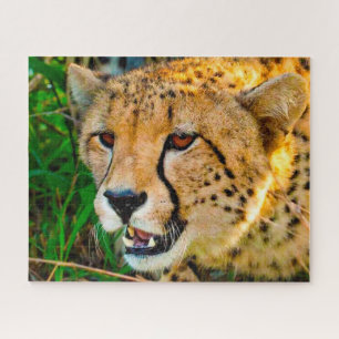 Cheetah Big Cats. Puzzle
