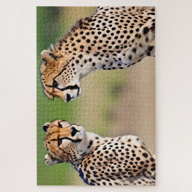 Cheetah Brothers Puzzle (Vertikal)
