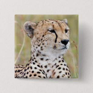 Cheetah Button