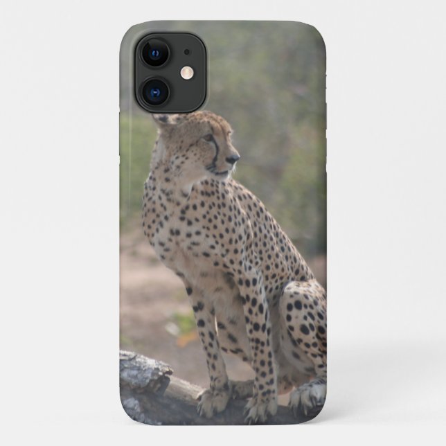 Cheetah Case-Mate iPhone Hülle (Rückseite)