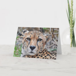 Cheetah Cat Art Portrait Karte