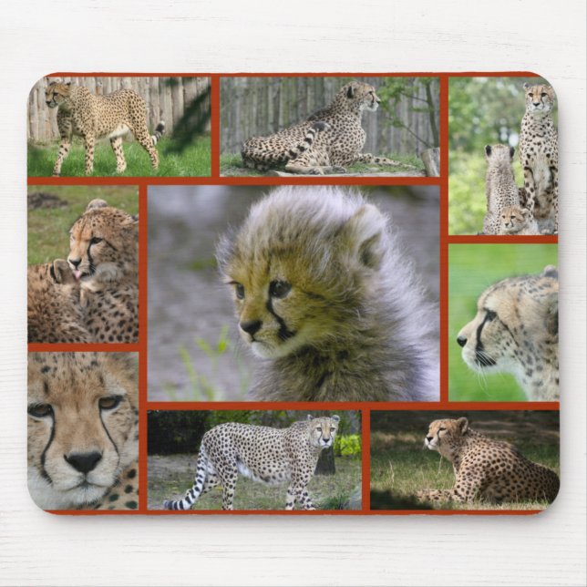 Cheetah-Collage 001 Poster Mousepad (Vorne)