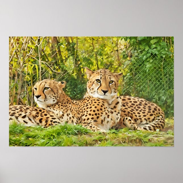 Cheetah Companions - In der Wildnis leben" Poster (Vorne)
