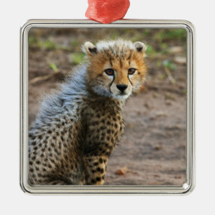 Cheetah Cub Acinonyx Jubatus Silbernes Ornament