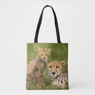 Cheetah Cub and Parque in Gras