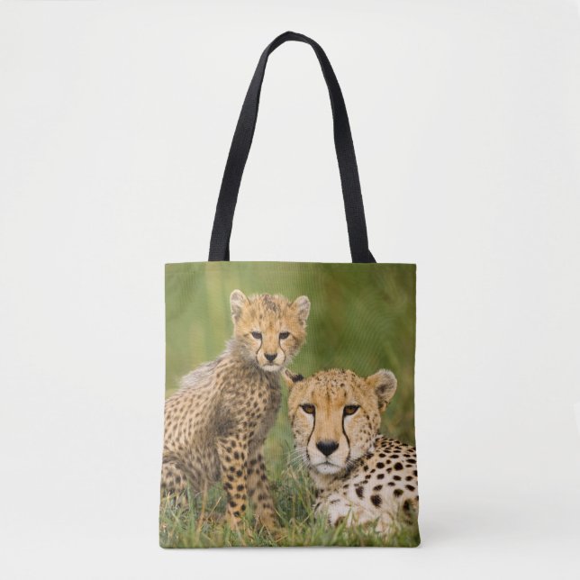 Cheetah Cub and Parque in Gras (Vorderseite)