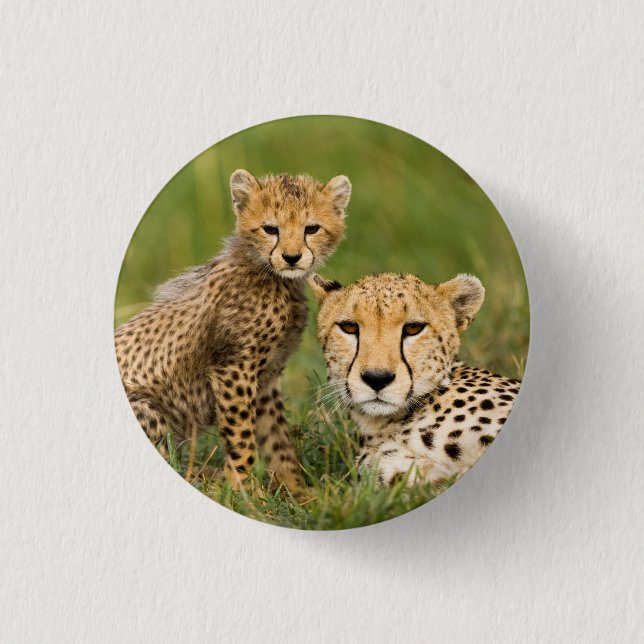 Cheetah Cub and Parque in Gras Button (Vorderseite)