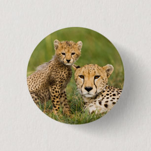 Cheetah Cub and Parque in Gras Button