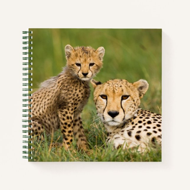 Cheetah Cub and Parque in Gras Notizbuch (Vorderseite)