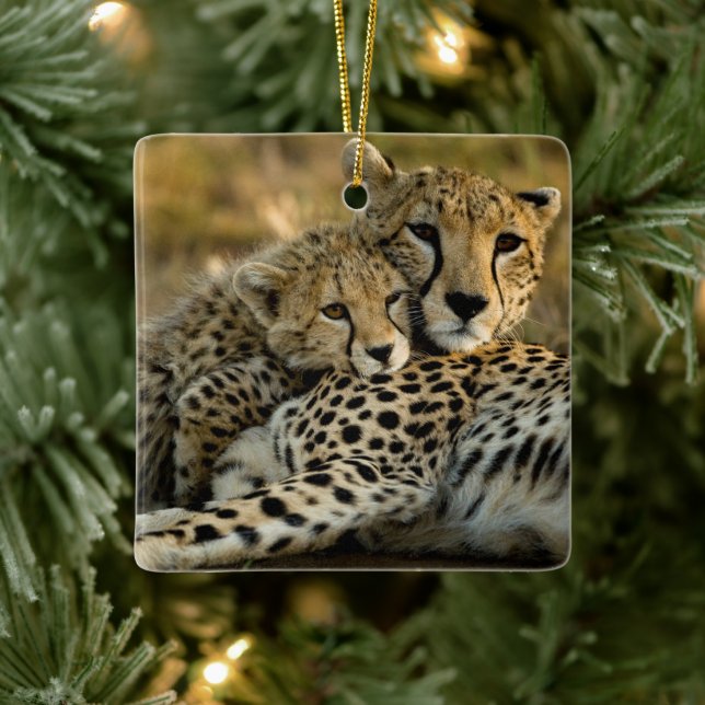 Cheetah Cub Snuggling mit seiner Mama Keramikornament (Baum)