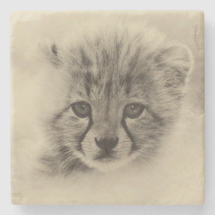 Cheetah Cub Steinuntersetzer