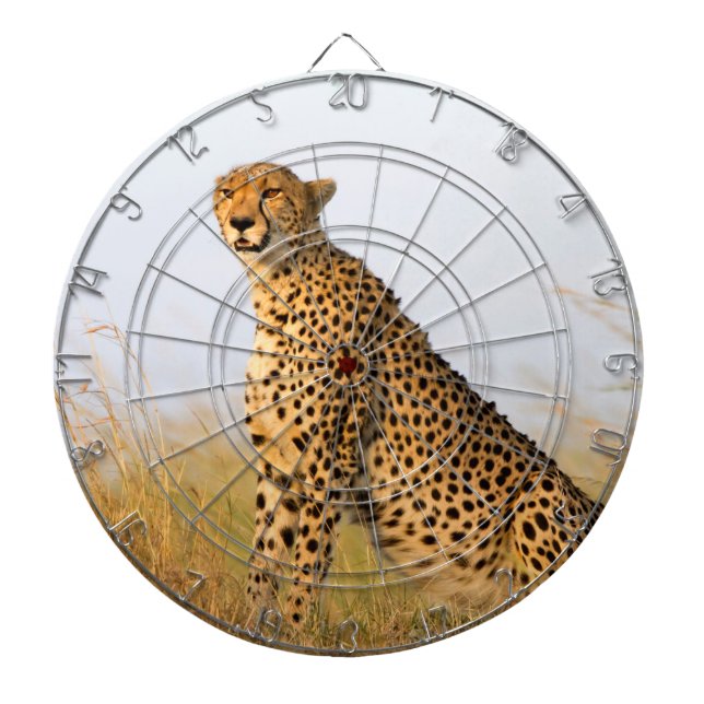 Cheetah Dartscheibe (vorne)