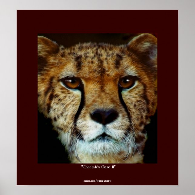 CHEETAH FACE Wildlife Art Poster (Vorne)