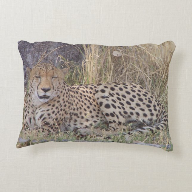Cheetah Foto Kissen (Rückseite)