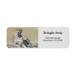 Cheetah Foto personalisierte Rücksendeadresse