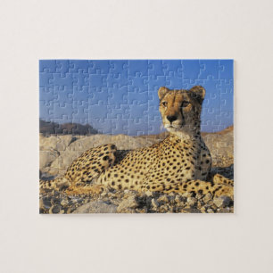 Cheetah Game Puzzle