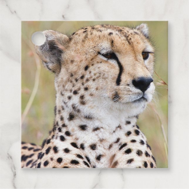 Cheetah Geschenkanhänger (Vorderseite)