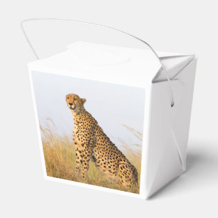 Cheetah Geschenkschachtel