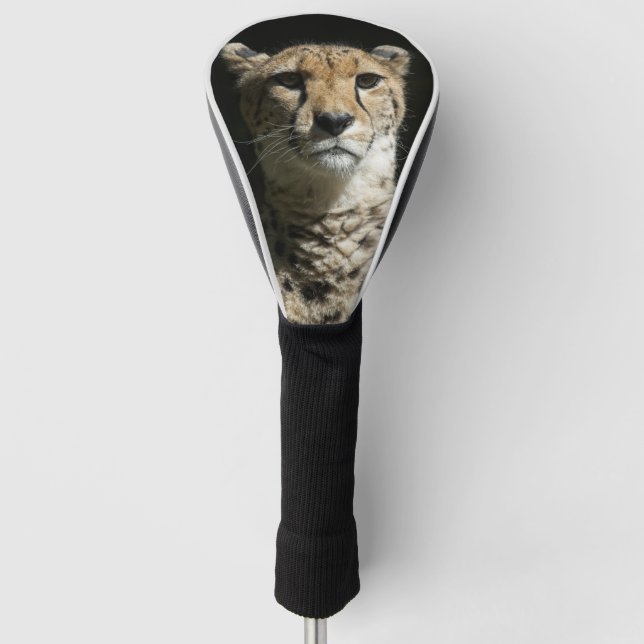 Cheetah Golf Headcover (Vorderseite)