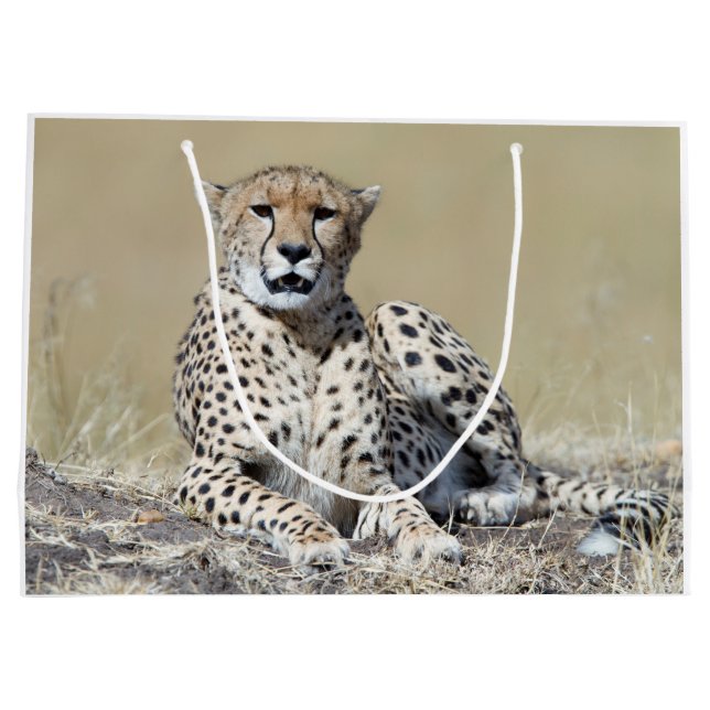 Cheetah Große Geschenktüte (Rückseite)