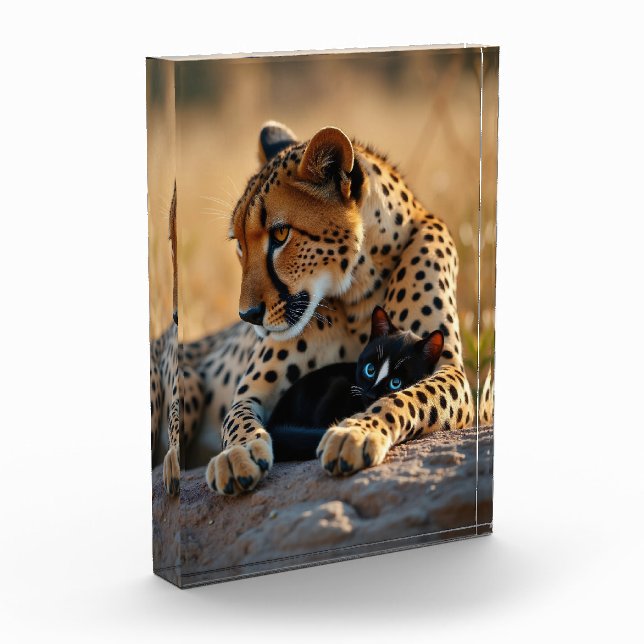 Cheetah Guardian, Kätzchen Herz Fotoblock (Links)