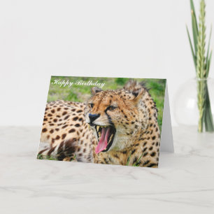 Cheetah - Happy Birthday Greeting Card Karte