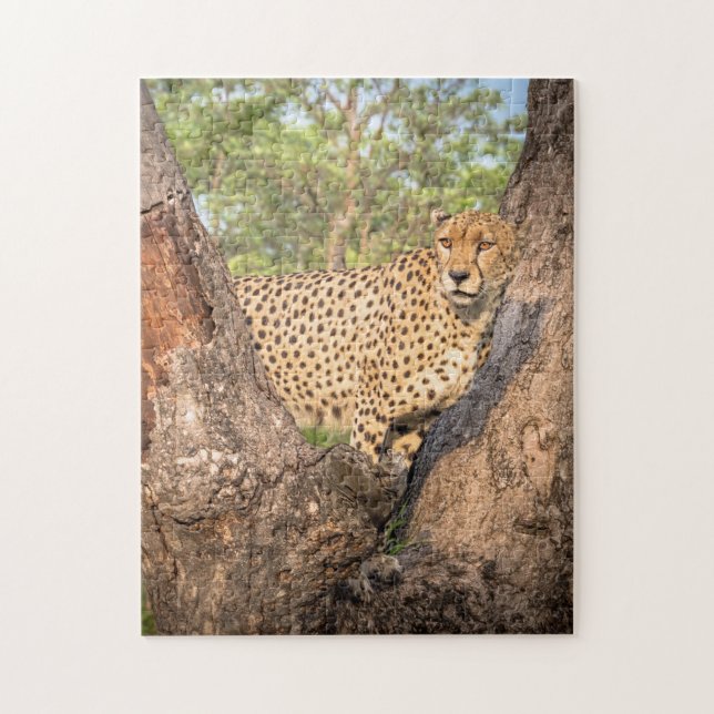 Cheetah in Tree Puzzle (Vertikal)
