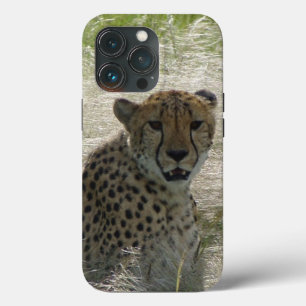 Cheetah iPhone / iPad Gehäuse Case-Mate iPhone Hülle