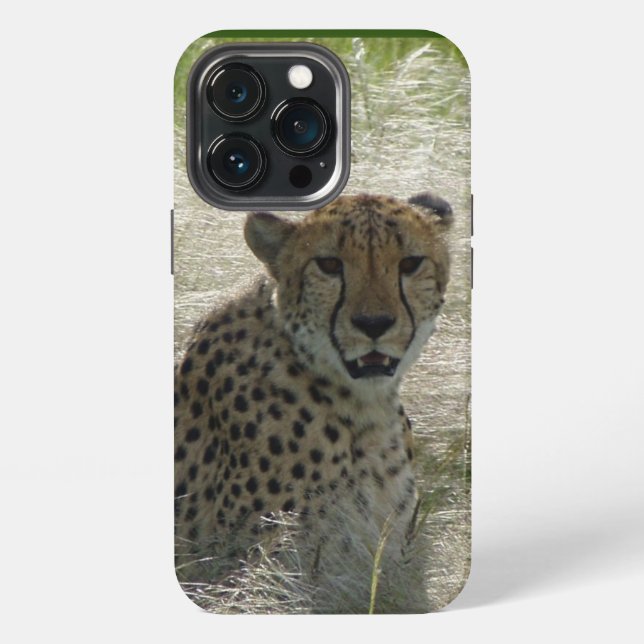 Cheetah iPhone / iPad Gehäuse Hülle (Hinten)