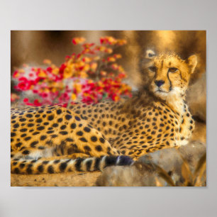 CHEETAH JUST CHILLIN POSTER