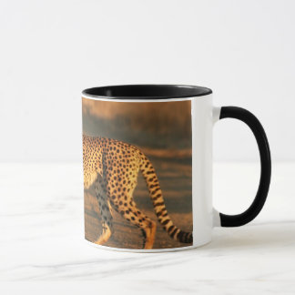 CHEETAH-KAFFEE-TASSE TASSE