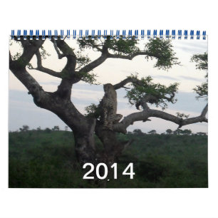 Cheetah-Kalender 2014 Kalender