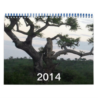 Cheetah-Kalender 2014 Kalender