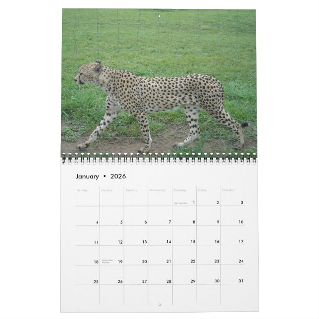 Cheetah-Kalender 2014 Kalender (Jan 2026)