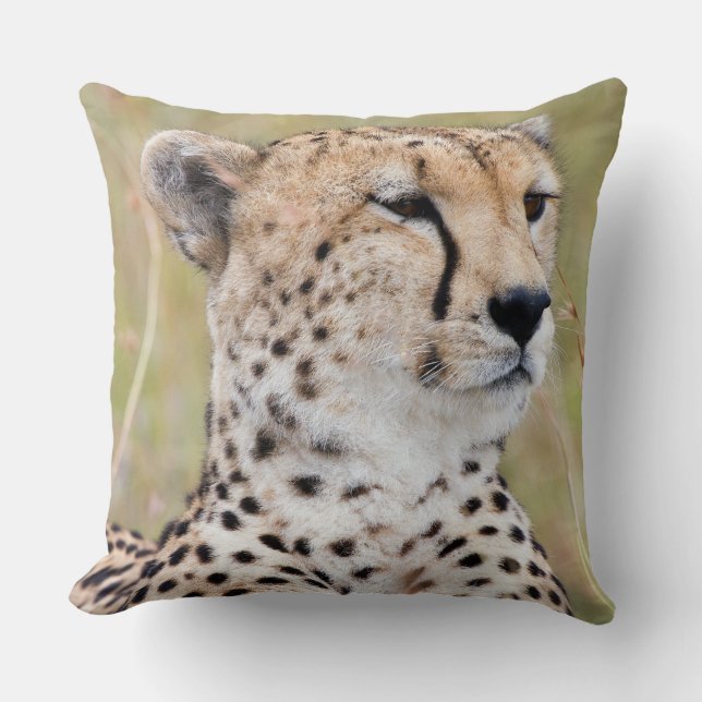 Cheetah Kissen (Vorderseite)