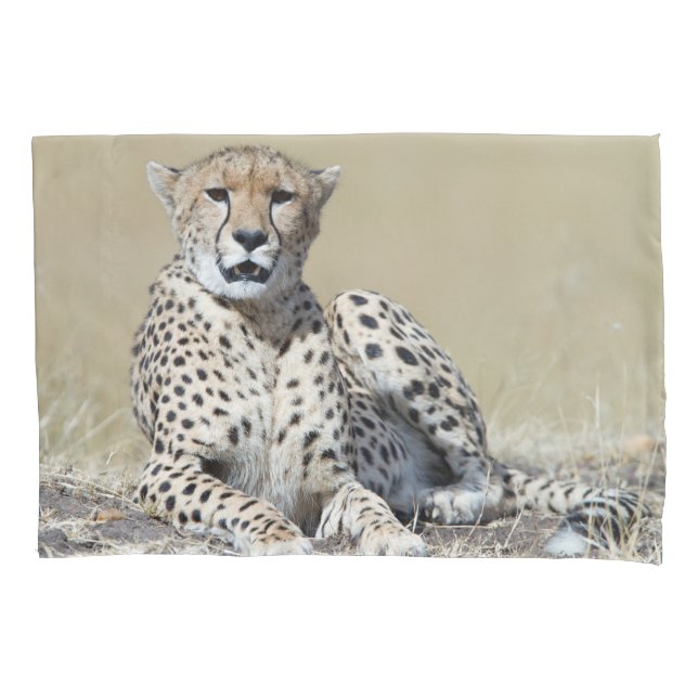 Cheetah Kissenbezug (Vorderseite)