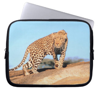 Cheetah Laptopschutzhülle