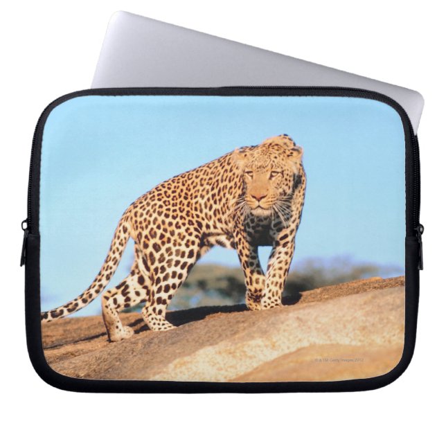 Cheetah Laptopschutzhülle (Vorderseite)