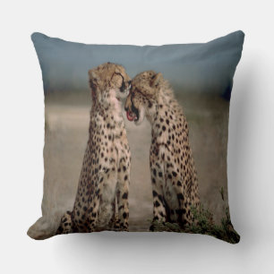 Cheetah Liebe Kissen